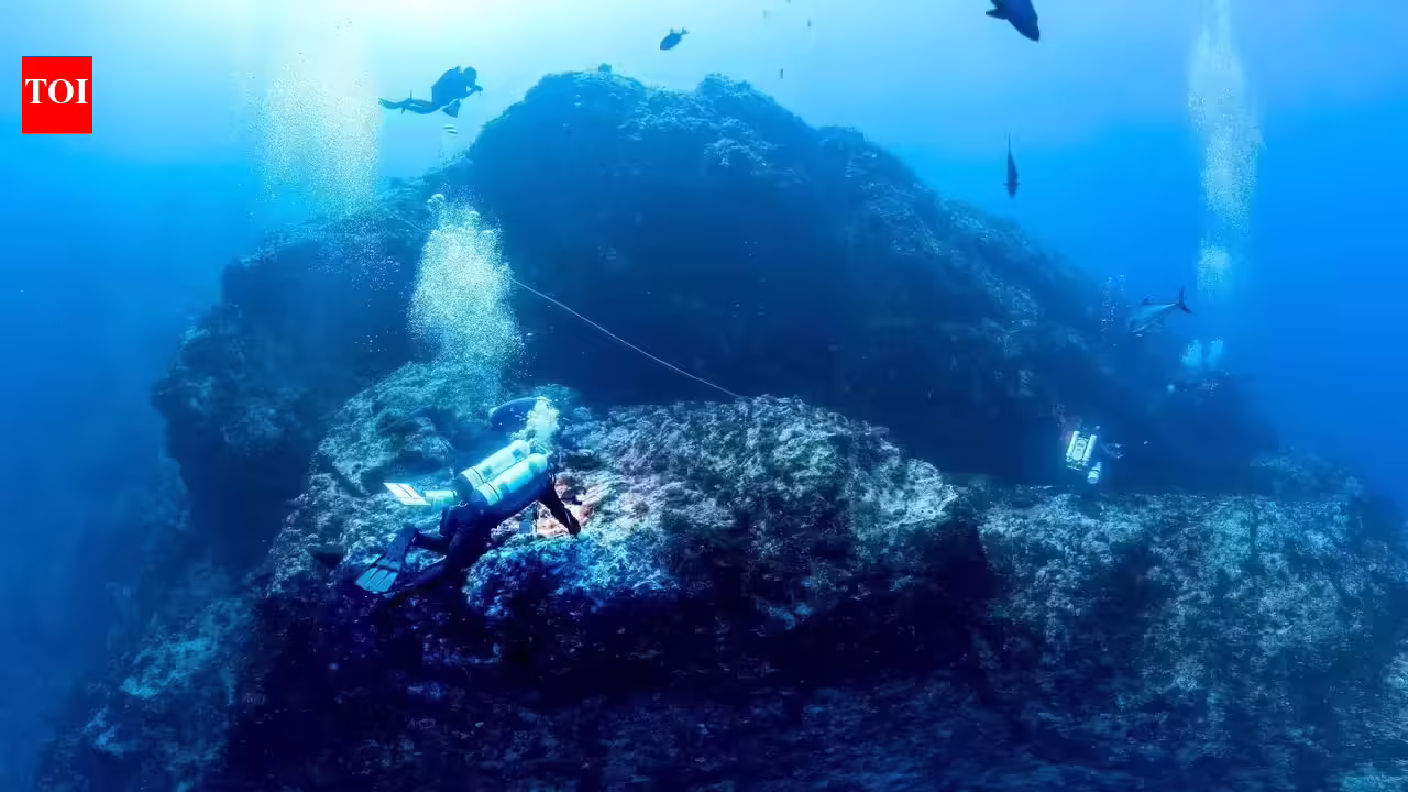 1770728659 photo.jpg