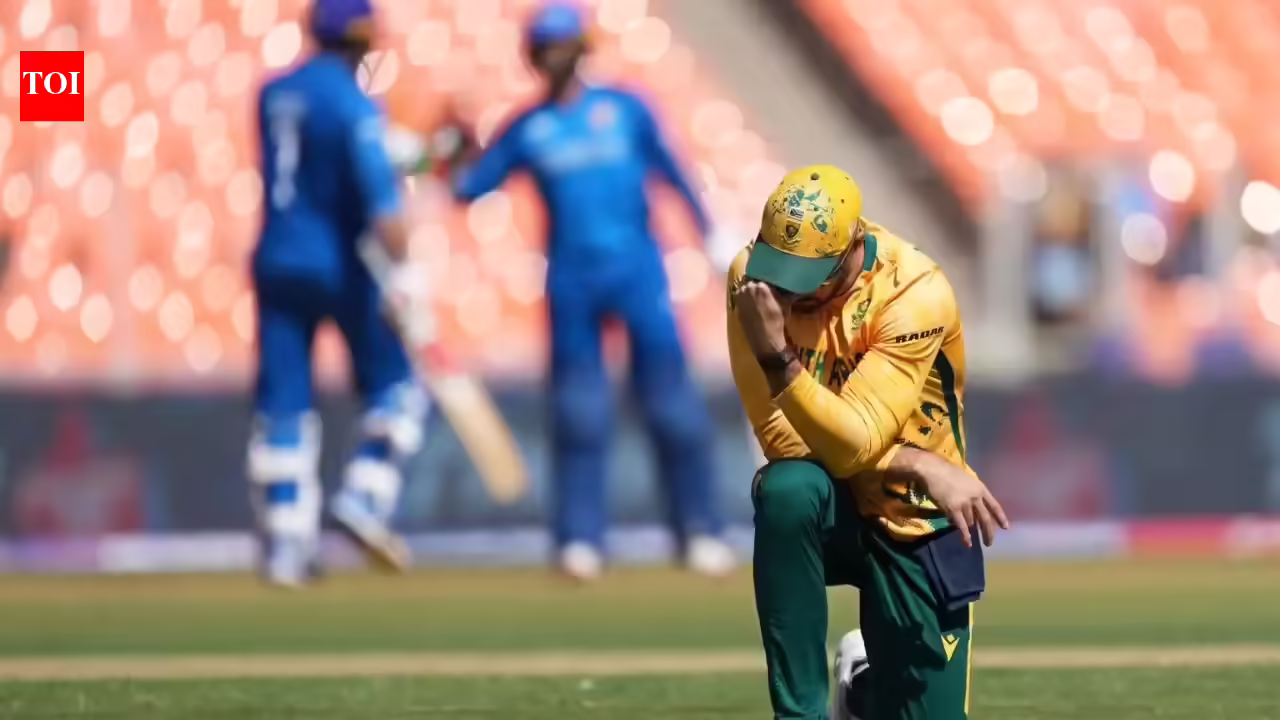 1770805503 photo.jpg