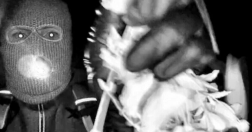 1771049184 urlhttps3A2F2Fcalifornia times brightspot.s3.amazonaws.com2F472F282Fb048f987436aa55463d2c77f.jpeg