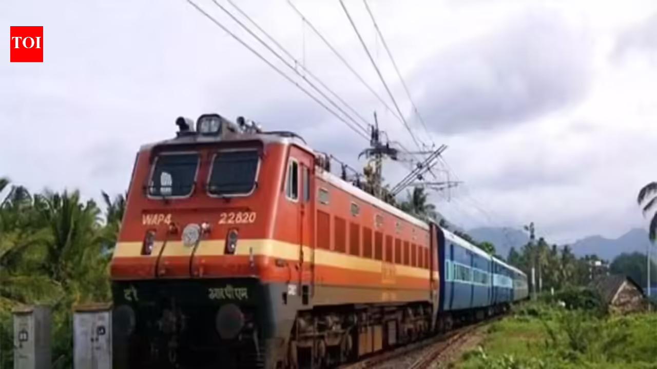 1771104481 photo.jpg