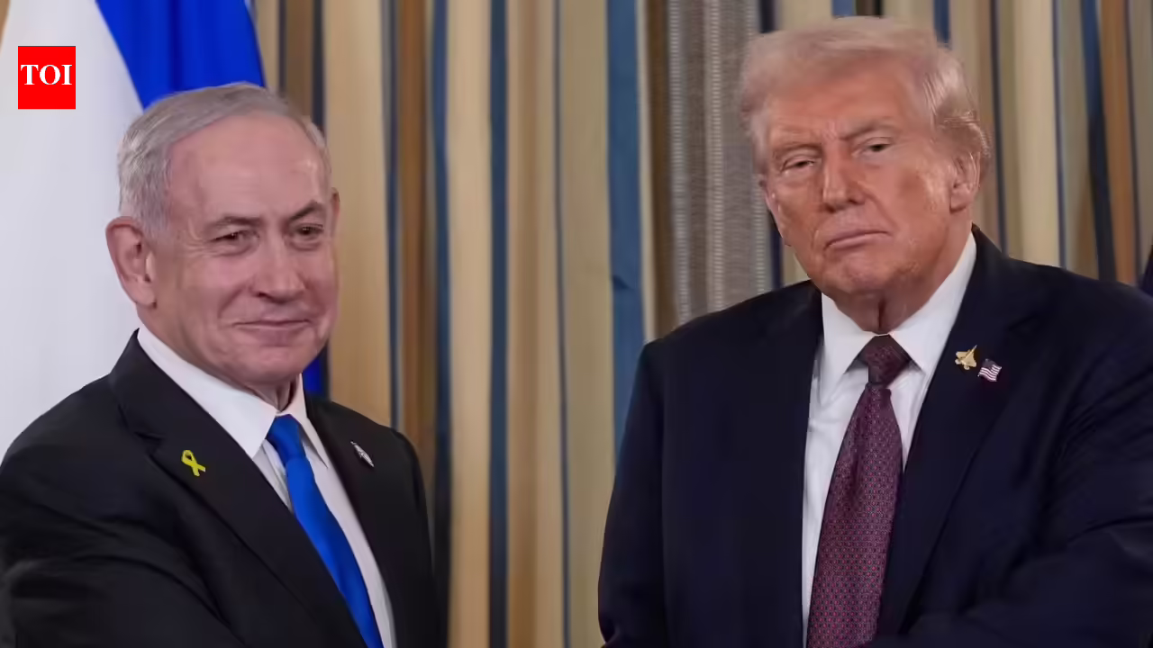 1771147580 photo.jpg