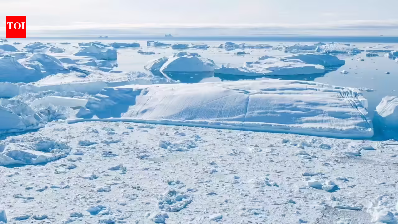 1771334586 photo.jpg