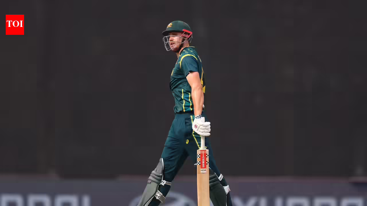 1771401304 photo.jpg