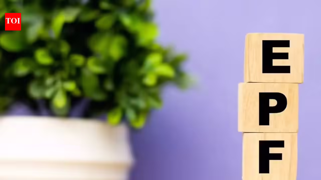 1771459995 photo.jpg