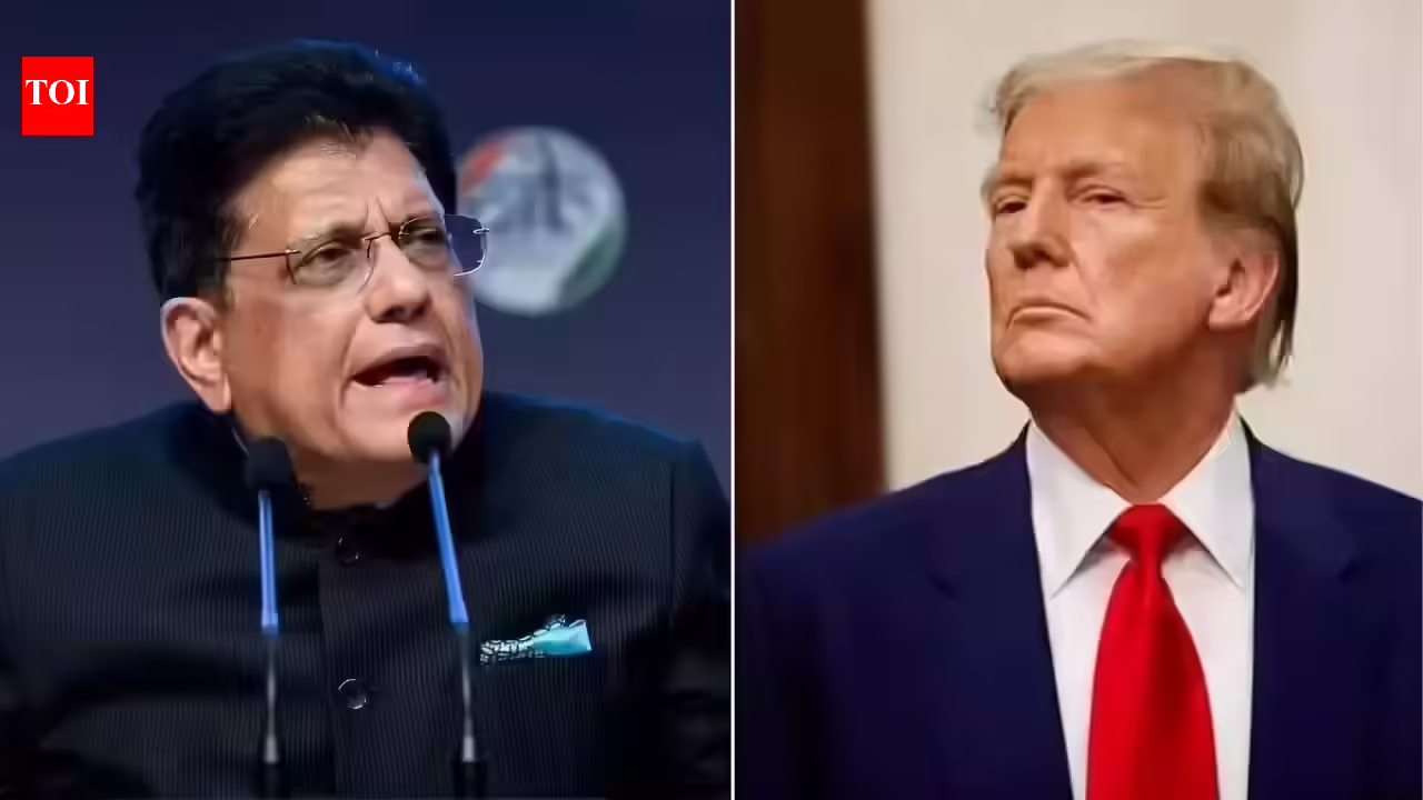 1771681640 photo.jpg