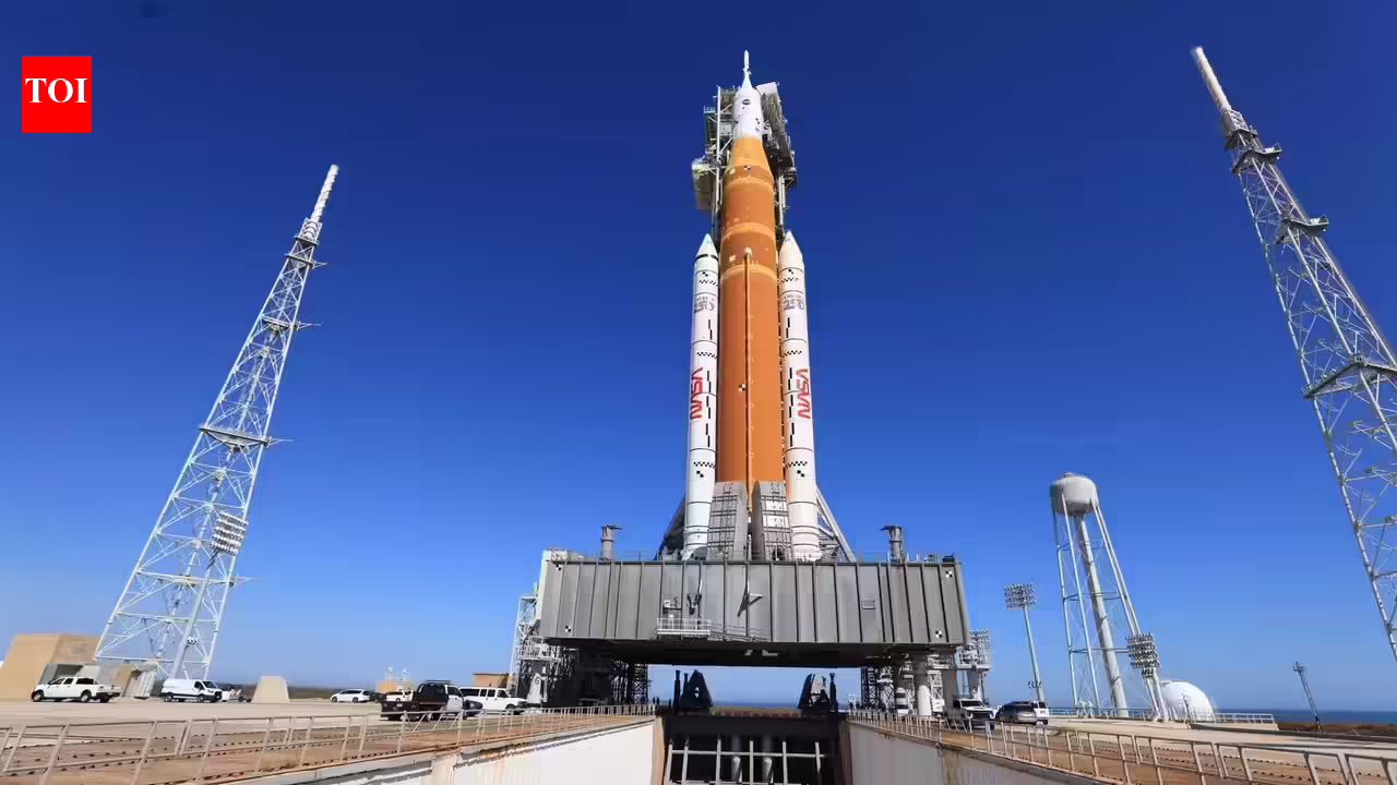 1771751093 photo.jpg