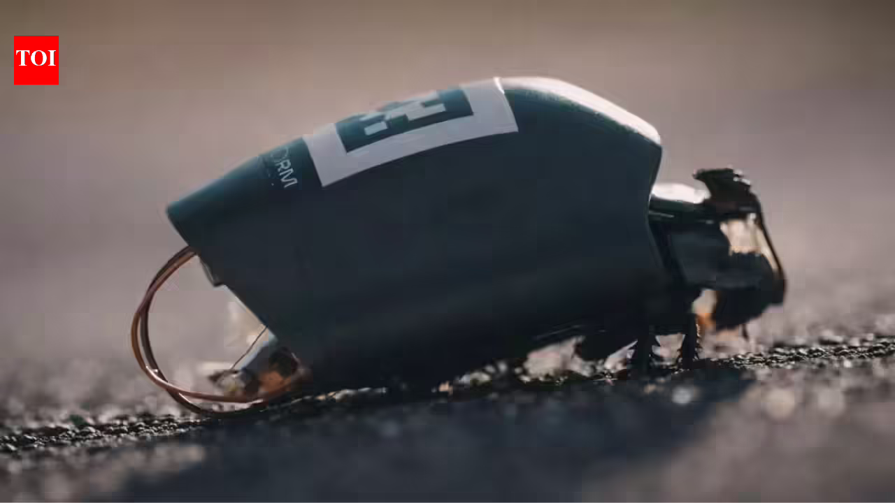 1772141890 photo.jpg