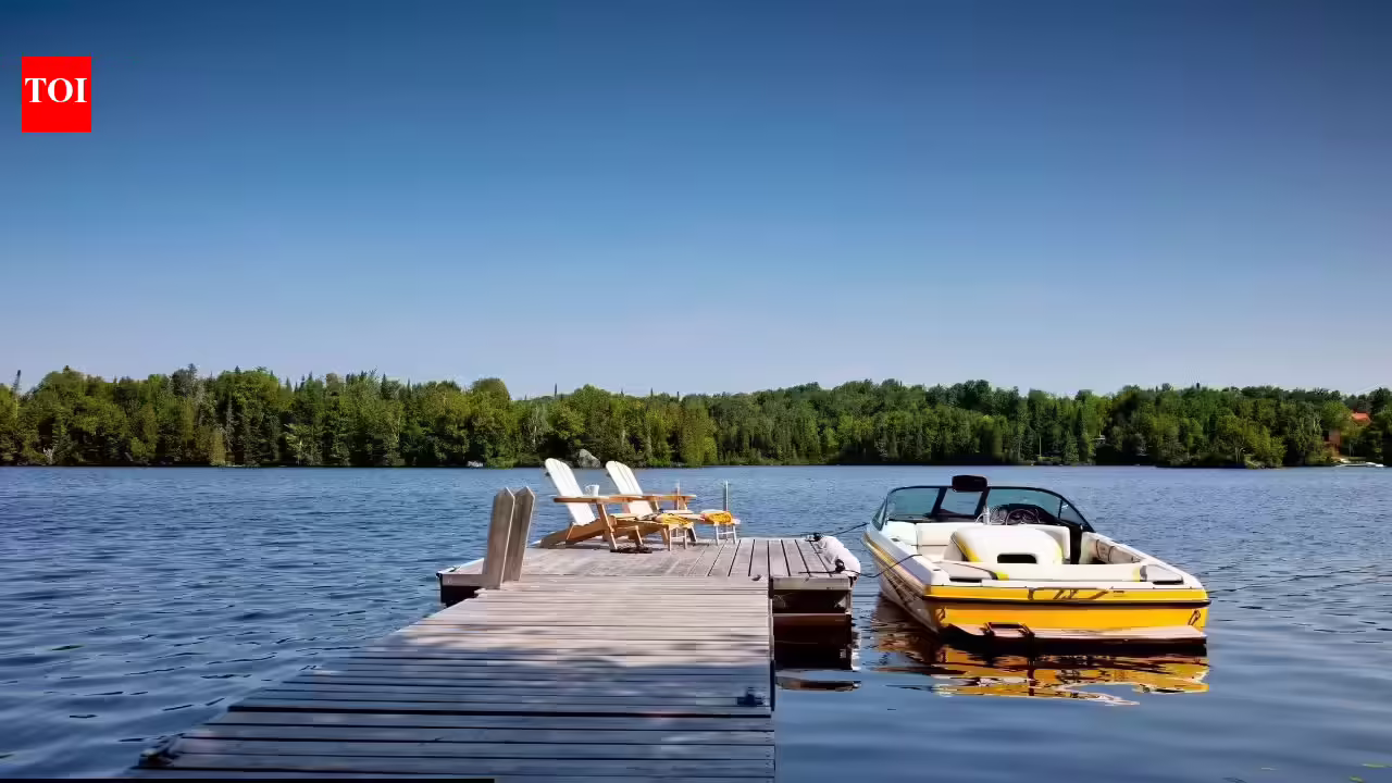 1772184123 photo.jpg