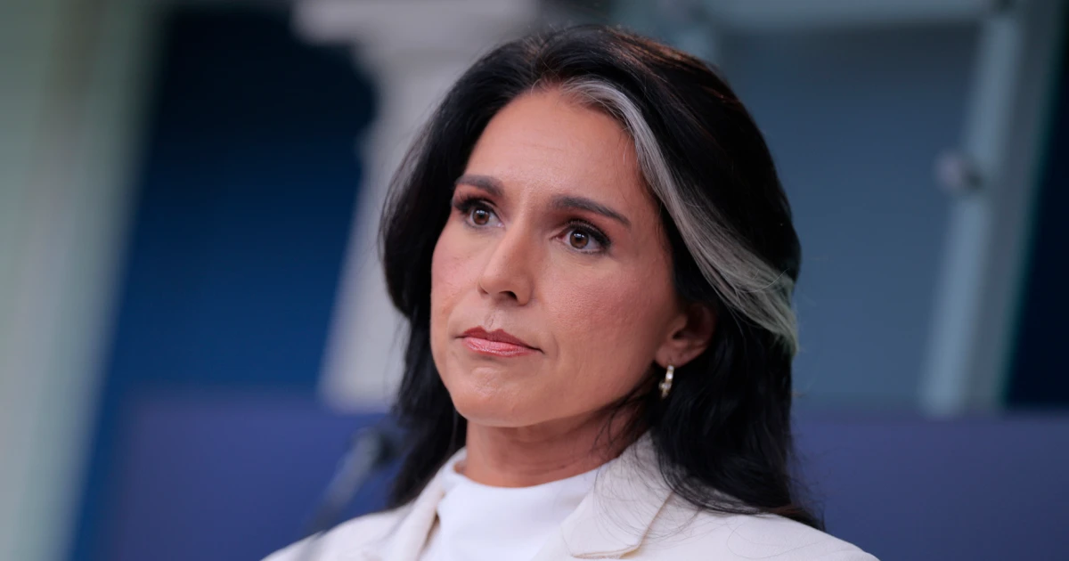 260202 tulsi gabbard vsb 2123 59e97f.jpg