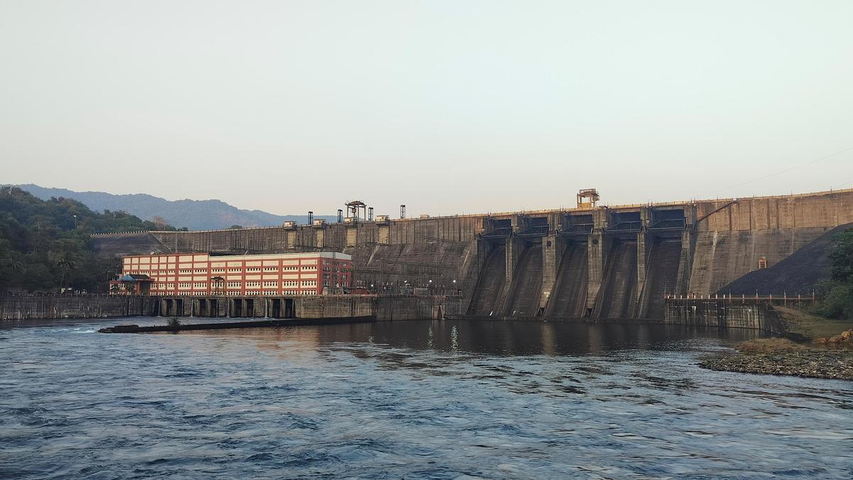 9911 11 2 2025 14 5 1 3 SHARAVATHI GERUSOPPA DAM 3.JPG
