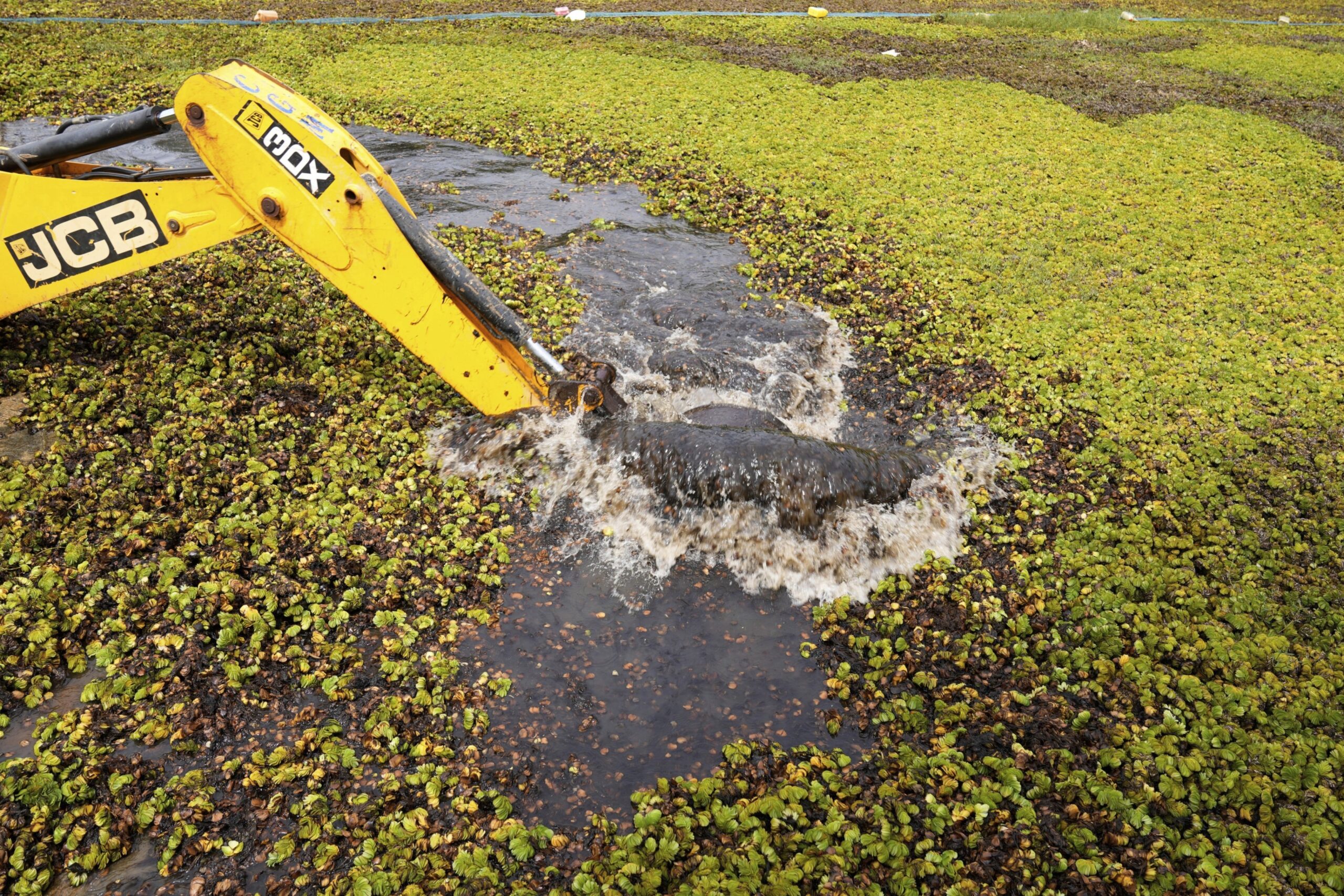 AP25262644370365 scaled.jpg