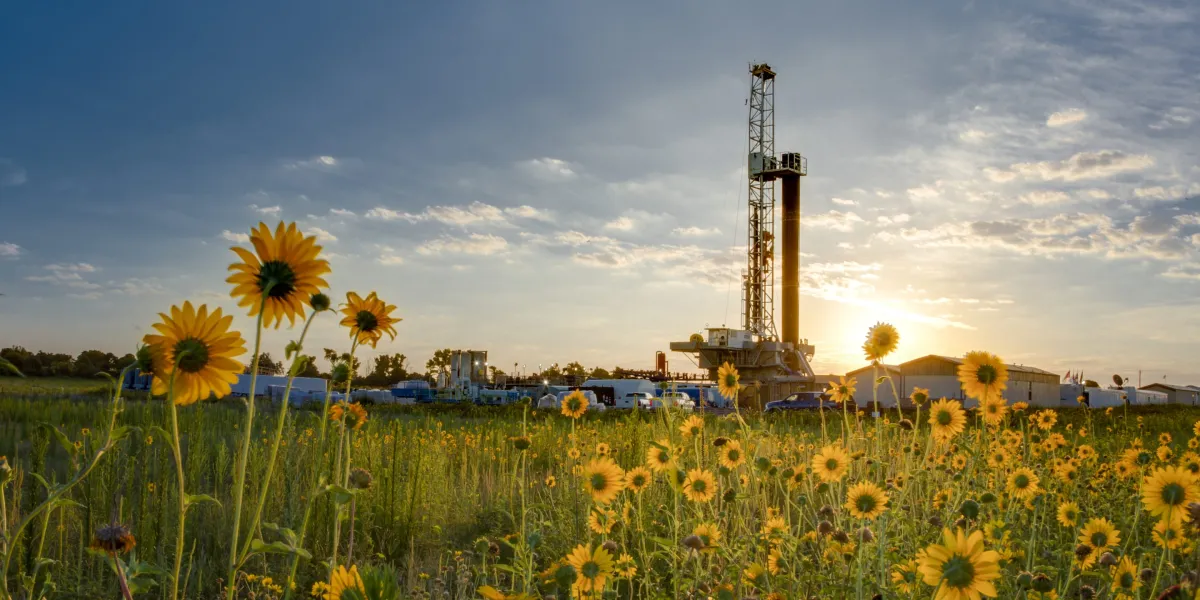 DVN STACK 0020 e1770064009559.jpg