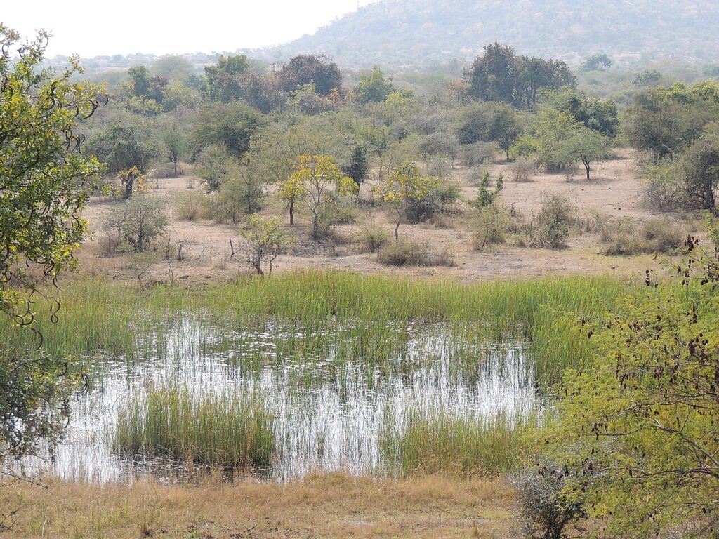 E0A497E0A4B5E0A4A4E0A4BEE0A4B3 E0A495E0A581E0A4B0E0A4A3E0A4BEE0A4A4.jpeg