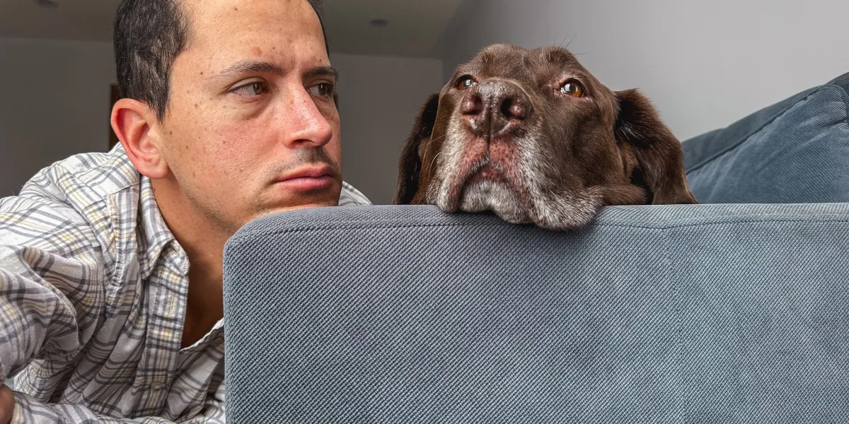 GettyImages 1955666346 e1770989990915.jpg