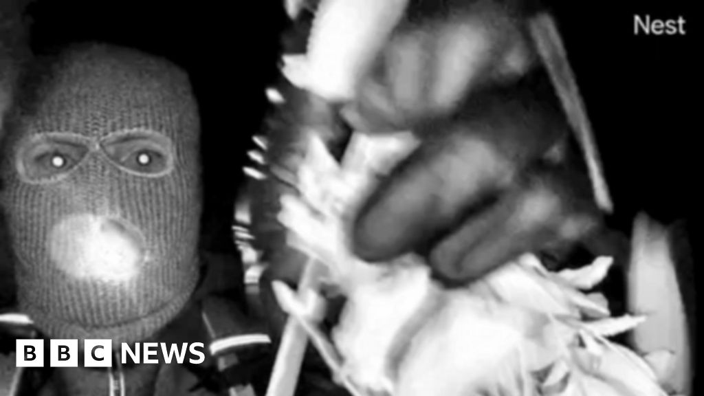 a79545d0 06ae 11f1 b7e1 afb6d0884c18.jpg