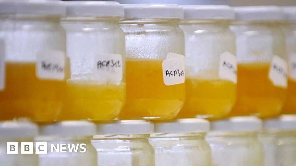 f6d5bbd0 001d 11f1 a8b8 bdd2c5f9bcad.jpg