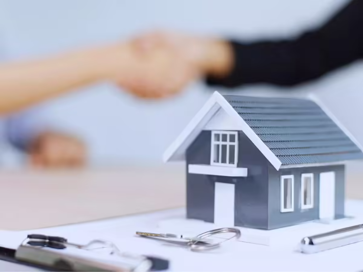 msid 128219563imgsize 22972.cms .avif