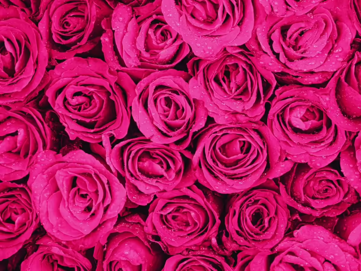 msid 128476345imgsize 158812.cms .avif