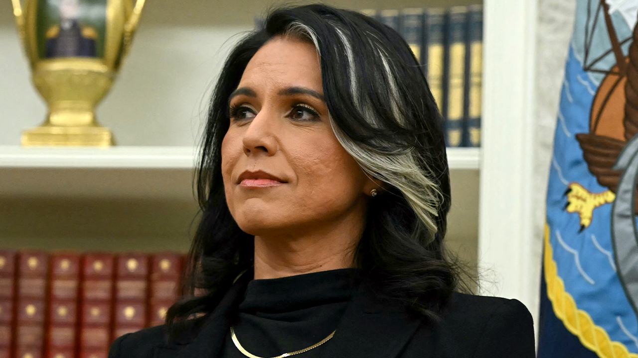 tulsi gabbard.png