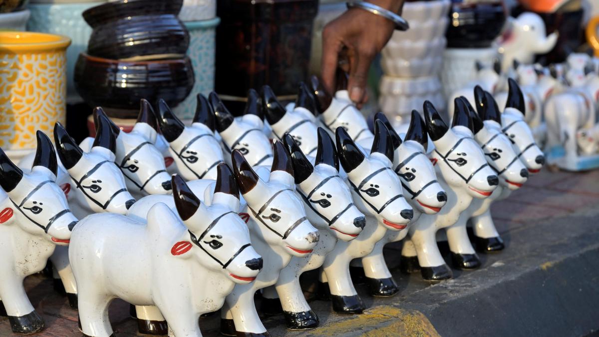 10504 9 6 2024 20 25 40 1 DSC3931.JPG