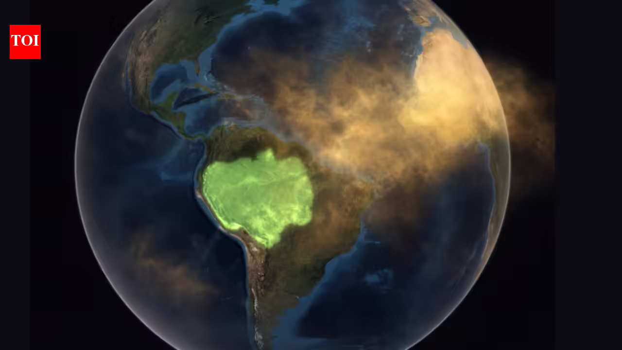 1772397538 photo.jpg