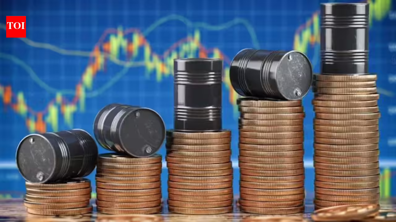 1772653597 photo.jpg