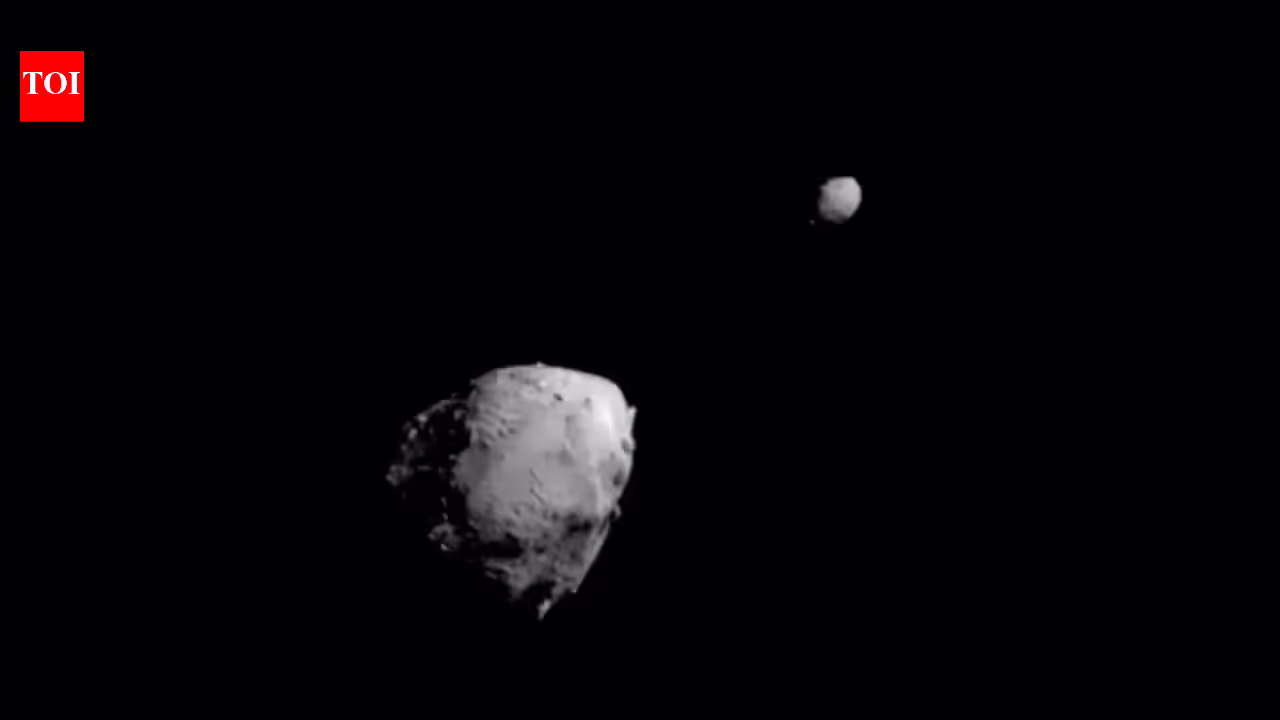 1772960204 photo.jpg