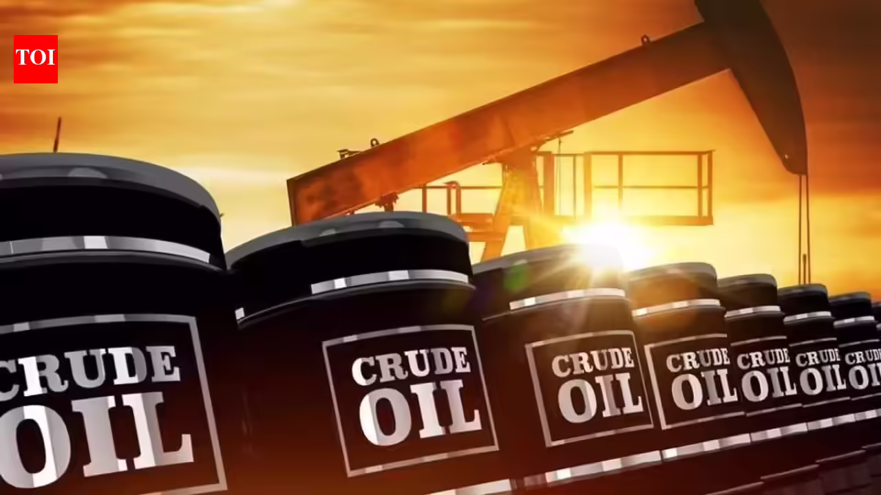 1773244236 photo.jpg