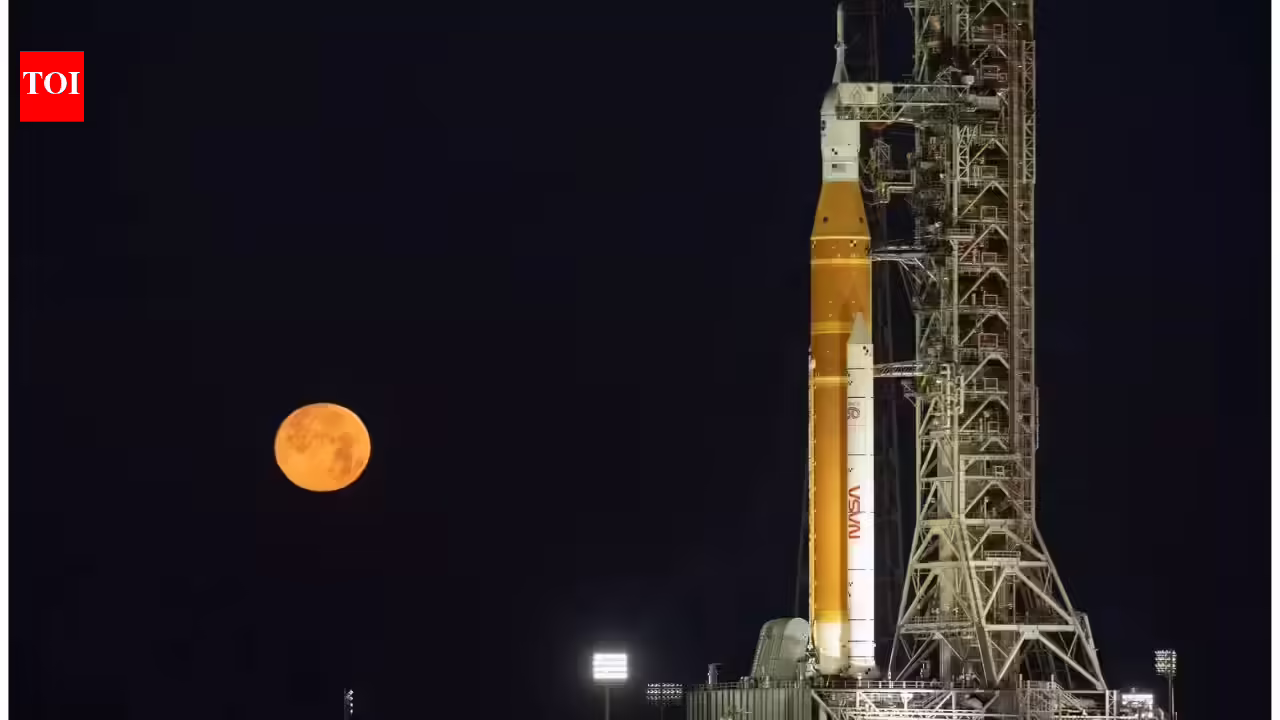 1773322936 photo.jpg