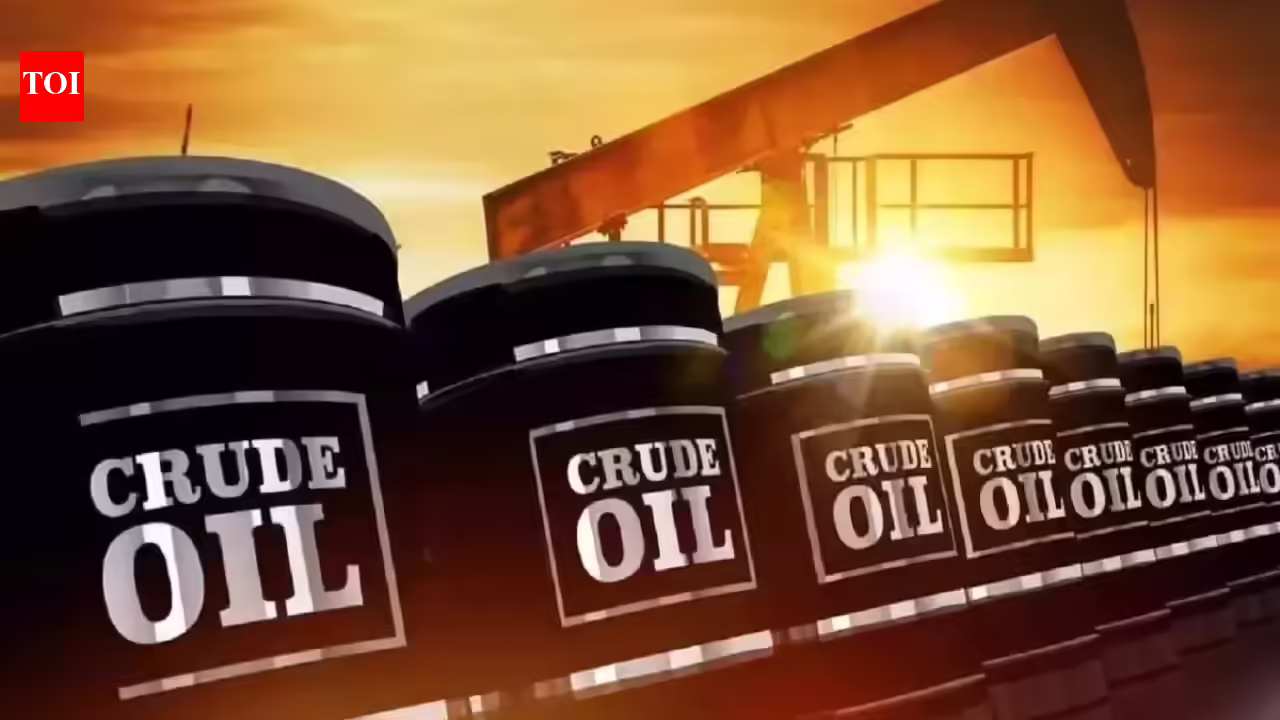 1773614509 photo.jpg