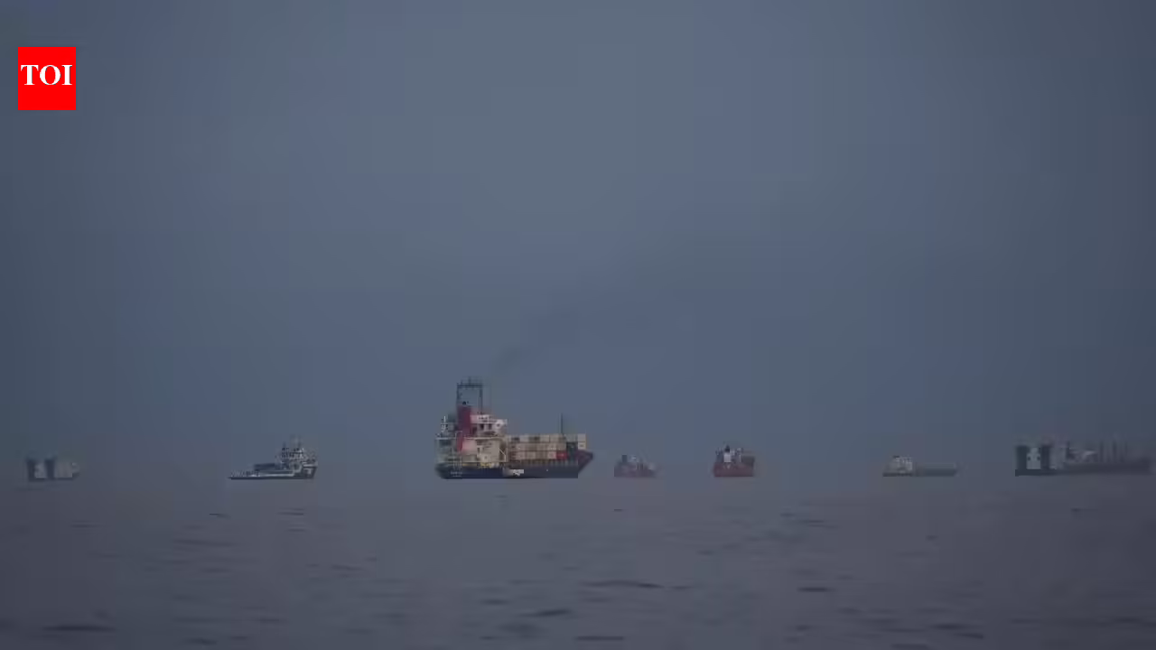 1773848661 photo.jpg