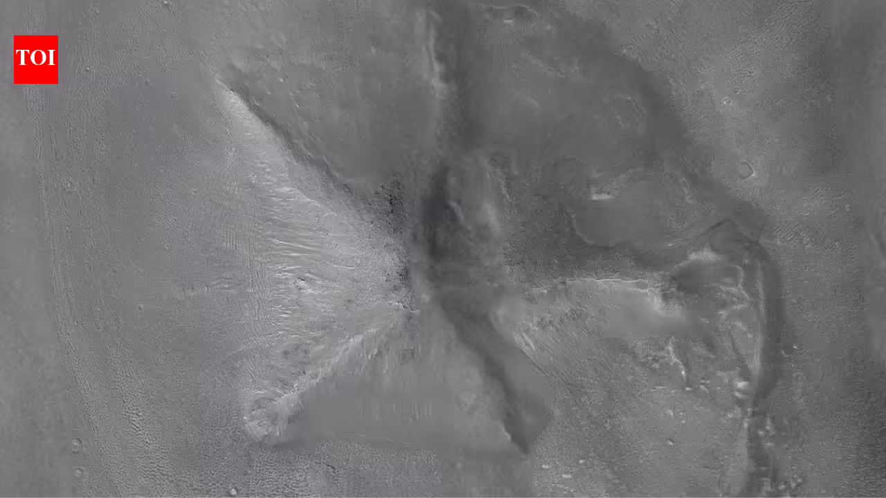 1773913629 photo.jpg