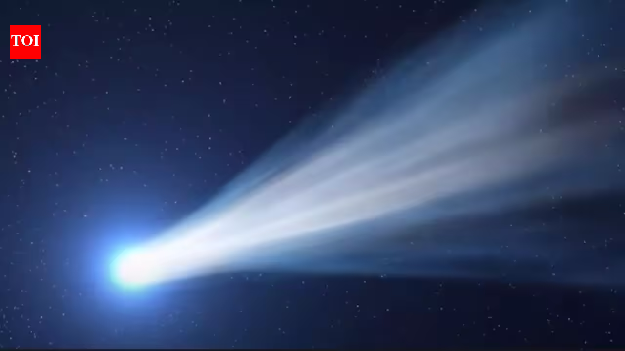 1773948157 photo.jpg