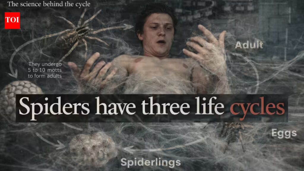 1773966487 photo.jpg