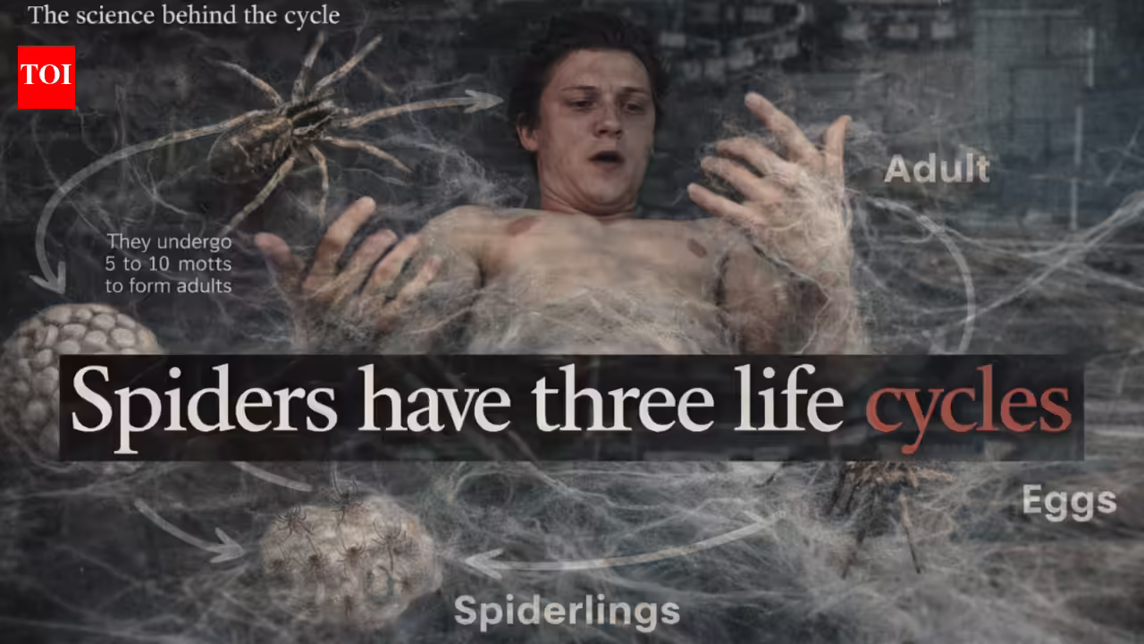 1773966487 photo.jpg