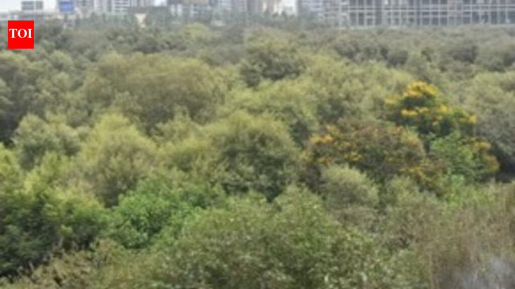 Can cut 46k mangroves for Mumbai project: SC | India News 1 1774091039 photo.jpg