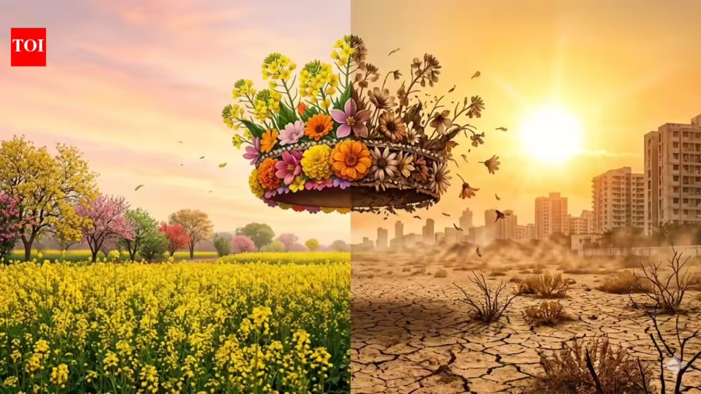 1774100173 photo.jpg