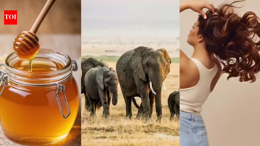 1774116146 photo.jpg