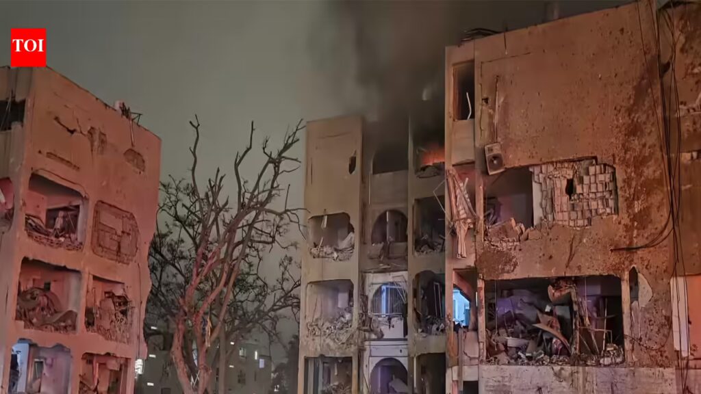 1774164254 photo.jpg