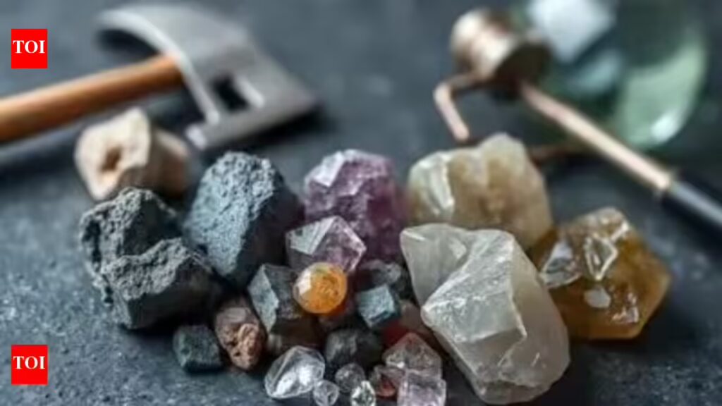 1774178356 photo.jpg