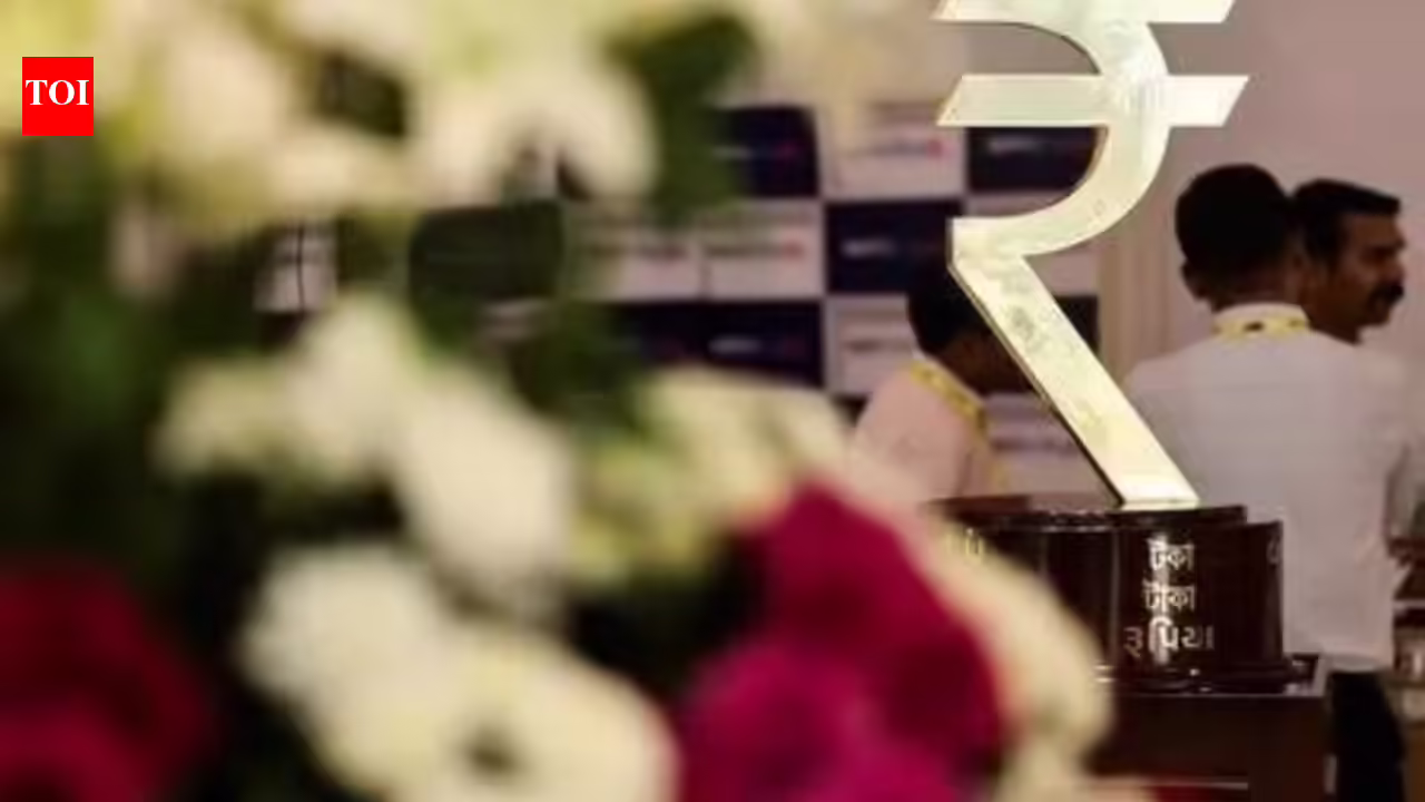 1774310864 photo.jpg