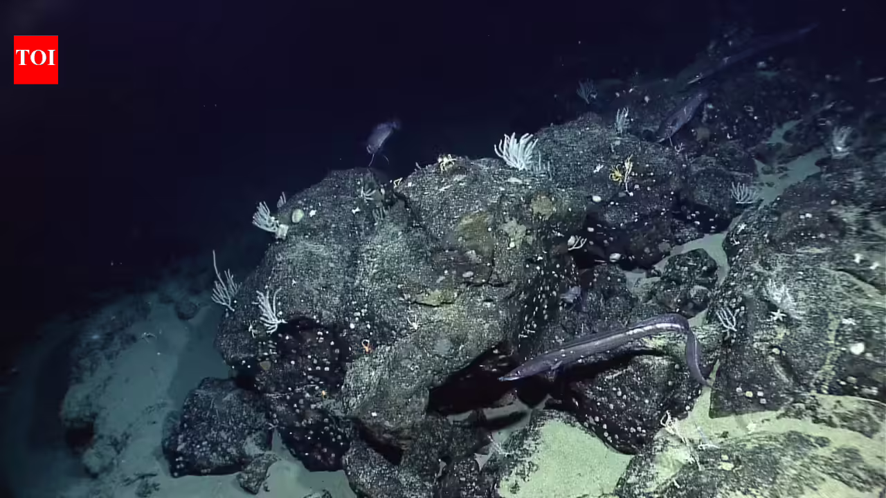 1774521866 photo.jpg