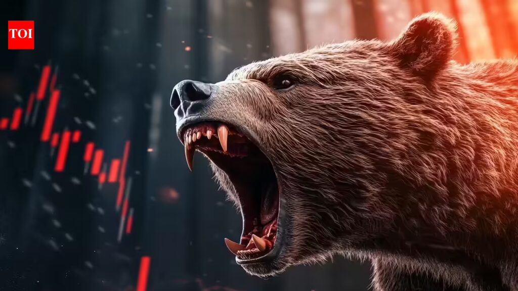 1774526843 photo.jpg