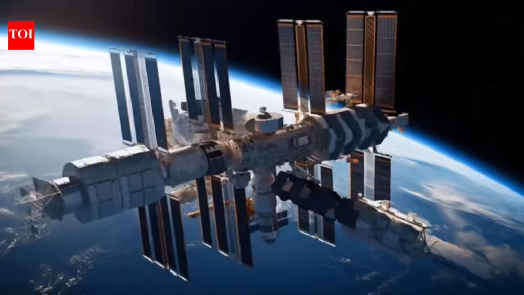 1774530989 photo.jpg