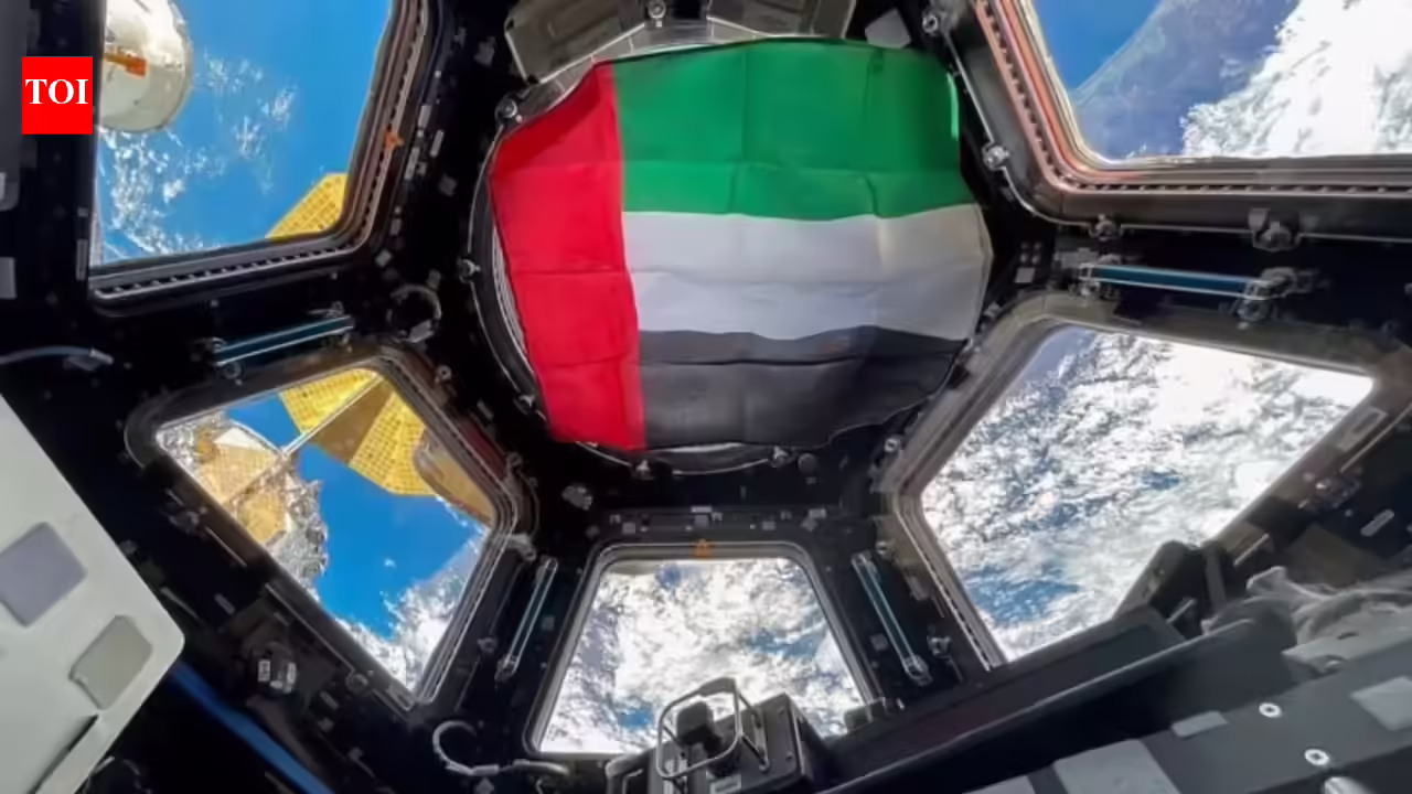 1774687828 photo.jpg