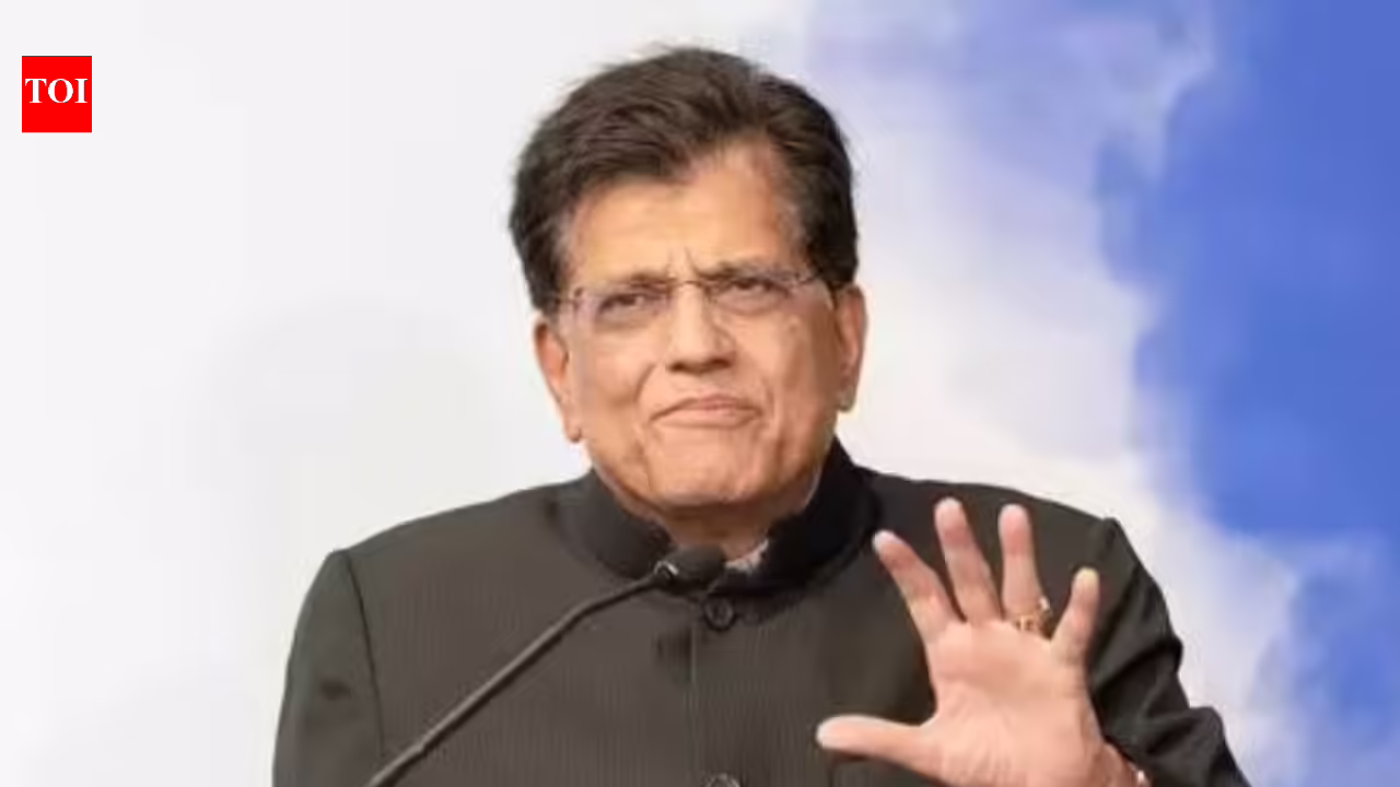 1774732986 photo.jpg