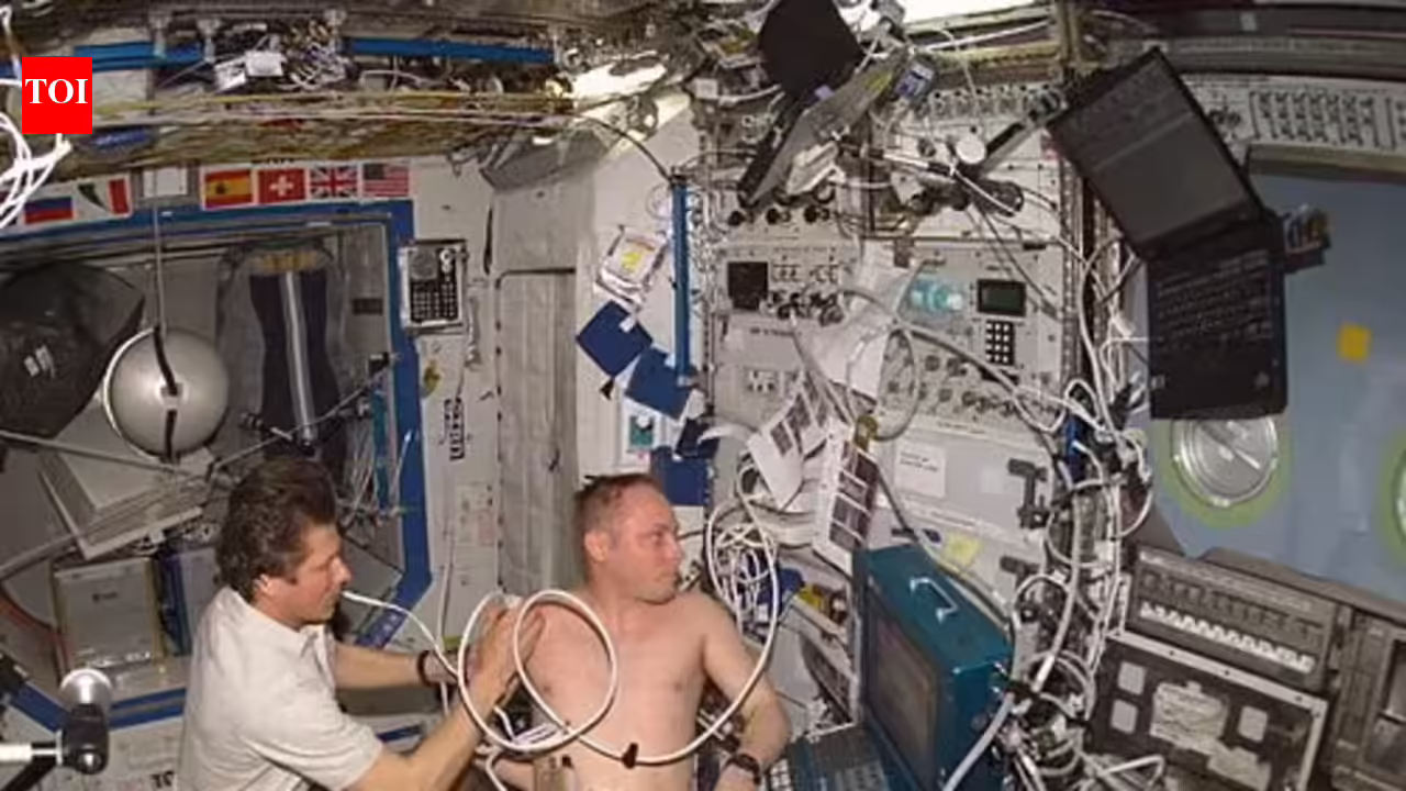 1774906217 photo.jpg