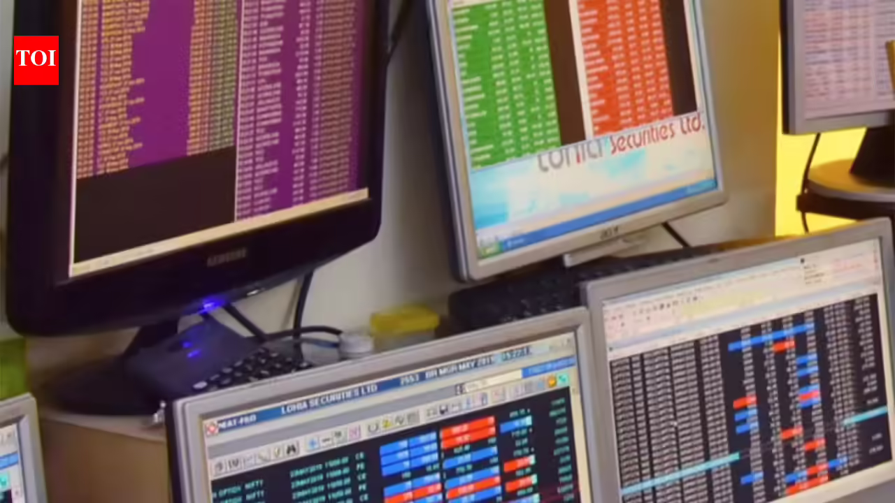 1774936445 photo.jpg