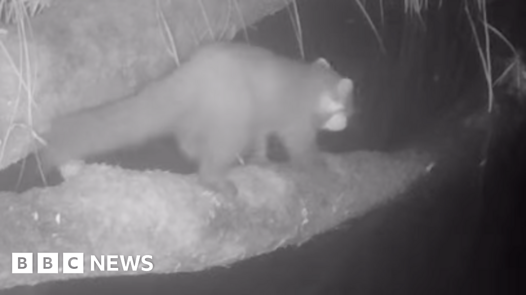 2c5497b0 2759 11f1 a797 4bd7869bf0d1.png