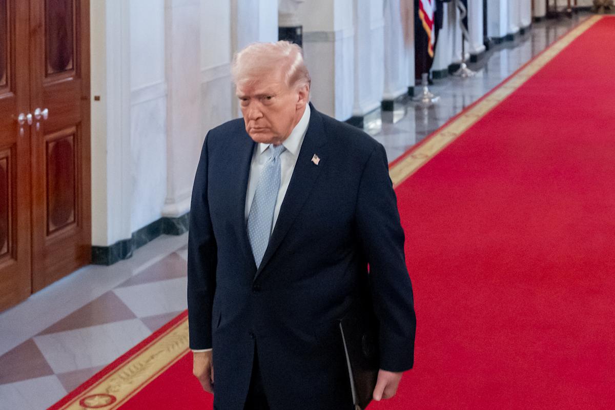 4913d893 26b9 41f6 84e8 37d69e608b8e.jpeg